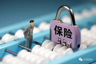 新到五千万保险经纪牌照转让，含网络销售资质