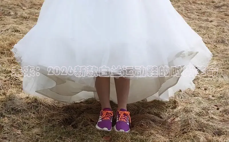 蜘蛛体育免费直播