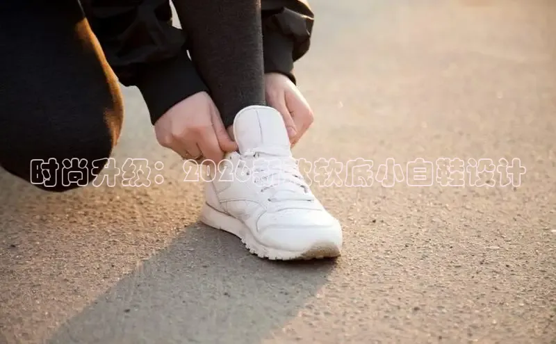 蜘蛛足球直播
