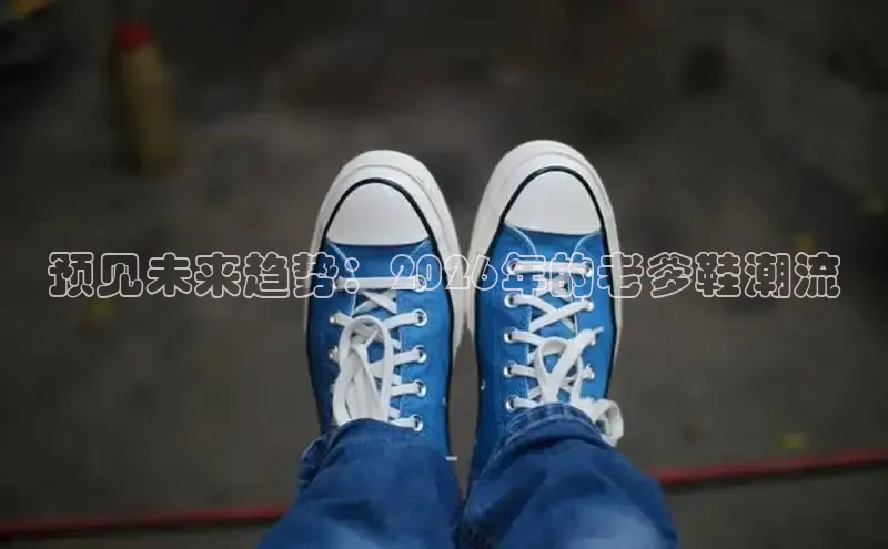 足球蜘蛛直播在线观看